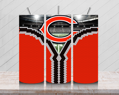 Bears Fan Reveal