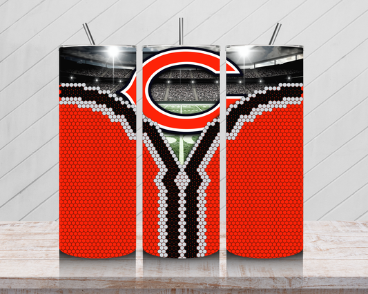 Bears Fan Reveal