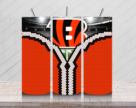 Bengals Fan Reveal