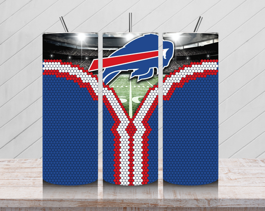 Bills Fan Reveal
