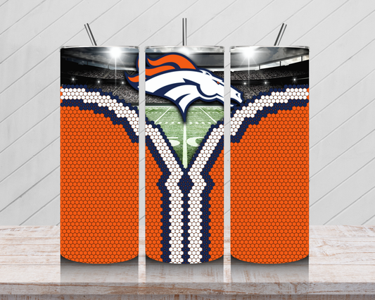 Broncos Fan Reveal