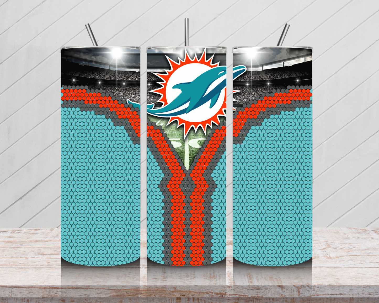 Dolphins Fan Reveal