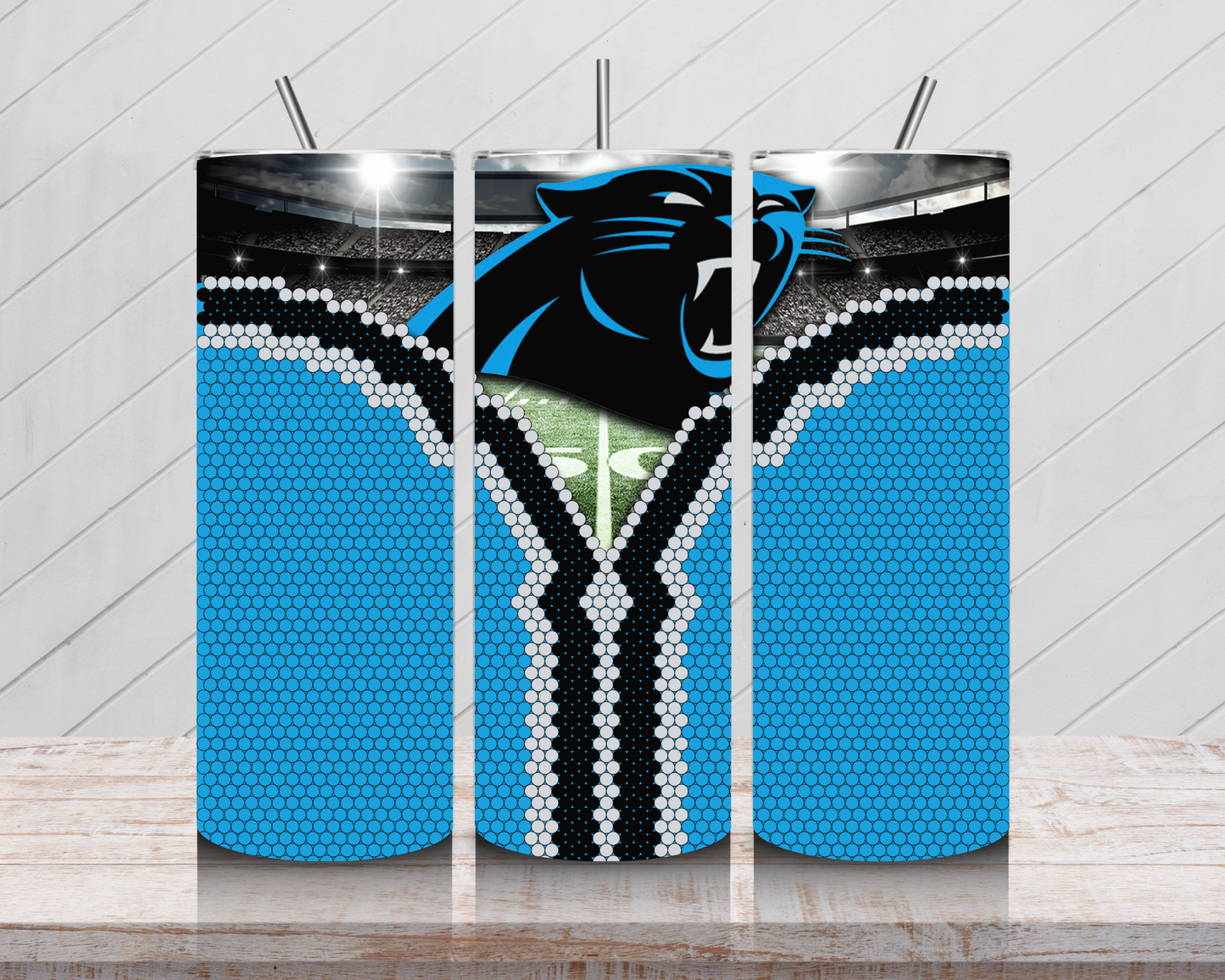 Panthers Fan Reveal