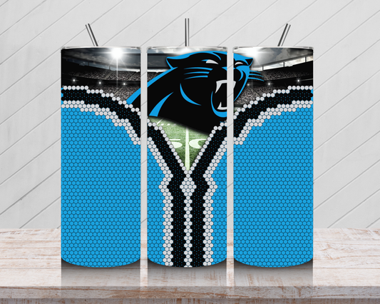 Panthers Fan Reveal