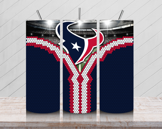 Texans Fan Reveal